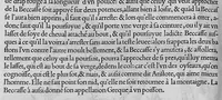 Picture 25 of 39 from L'histoire de la nature des oiseaux, avec leurs descriptions, et naïfs portraicts retirez du naturel, écrite en sept livres (1555), leaf 301