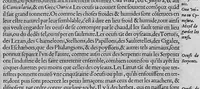 Picture 2 of 39 from L'histoire de la nature des oiseaux, avec leurs descriptions, et naïfs portraicts retirez du naturel, écrite en sept livres (1555), leaf 58
