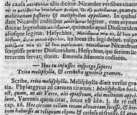 An illustration from Theophrasti Eresii de Historia plantarum libri decem graece et latine. In quibus textum graecum..., latinam Gazae versionem... rariorum plantarum iconibus illustravit Joannes Bodaeus a Stapel,... Accesserunt Julii Caesaris Scaligeri in eosdem libros animadversiones, et Roberti Constantini annotationes... (1644)