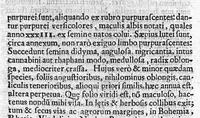 Picture 24 of 53 from Theophrasti Eresii de Historia plantarum libri decem graece et latine. In quibus textum graecum..., latinam Gazae versionem... rariorum plantarum iconibus illustravit Joannes Bodaeus a Stapel,... Accesserunt Julii Caesaris Scaligeri in eosdem libros animadversiones, et Roberti Constantini annotationes... (1644), leaf 738