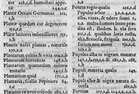 An illustration from Iulii Caesaris Scaligeri viri clariss. Commentarii, et animadversiones, in sex libros de causis plantarum Theophrasti (1566)