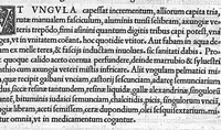 An illustration from Veterinariae medicinae libri II Johanne Ruellio suessionensi interprete. (1530)