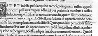 An illustration from Veterinariae medicinae libri II Johanne Ruellio suessionensi interprete. (1530)