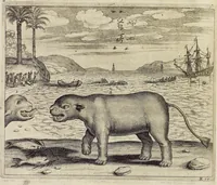 An illustration from Athanasii Kircheri e Soc. Jesu China monumentis, qua sacris qua profanis, nec non variis naturæ & artis spectaculis, aliarumque rerum memorabilium argumentis illustrata, auspiciis Leopoldi Primi, Roman. imper semper Augusti (1667)