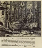Picture 20 of 28 from Athanasii Kircheri e Soc. Jesu China monumentis, qua sacris qua profanis, nec non variis naturæ & artis spectaculis, aliarumque rerum memorabilium argumentis illustrata, auspiciis Leopoldi Primi, Roman. imper semper Augusti (1667), leaf 263