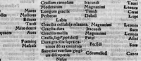 An illustration from Parva naturalia Augustini Niphi medices philosophi Suessani, videlicet Physiognomicorum libri tres, De animalium motu lib. unus, De longitudine & brevitate vitae lib. unus, De juventute & senectute lib. unus, De respiratione lib. unus, De morte & vita lib. unus, De memoria & reminiscentia lib. unus, De somno & vigilia lib. unus, De insomniis lib. unus, De divinatione naturali, artificiosa, et de prophetia lib. unus. Omnia post primas editiones nunc primum emendatiora in lucem prodeunt (1550)