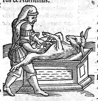 Picture 11 of 69 from Prodigiorum ac ostentorum chronicon, quae, praeter naturae ordinem, et in superioribus et his inferioribus mundi regionibus, ab exordio mundi usque ad haec nostra tempora acciderunt... conscriptum per Conradum Lycosthenem,... (1557), leaf 113