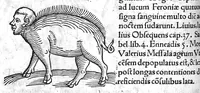 An illustration from Prodigiorum ac ostentorum chronicon, quae, praeter naturae ordinem, et in superioribus et his inferioribus mundi regionibus, ab exordio mundi usque ad haec nostra tempora acciderunt... conscriptum per Conradum Lycosthenem,... (1557)