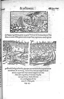 An illustration from Prodigiorum ac ostentorum chronicon, quae, praeter naturae ordinem, et in superioribus et his inferioribus mundi regionibus, ab exordio mundi usque ad haec nostra tempora acciderunt... conscriptum per Conradum Lycosthenem,... (1557)