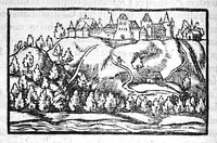 An illustration from Prodigiorum ac ostentorum chronicon, quae, praeter naturae ordinem, et in superioribus et his inferioribus mundi regionibus, ab exordio mundi usque ad haec nostra tempora acciderunt... conscriptum per Conradum Lycosthenem,... (1557)