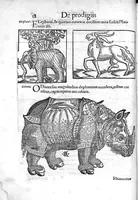 An illustration from Prodigiorum ac ostentorum chronicon, quae, praeter naturae ordinem, et in superioribus et his inferioribus mundi regionibus, ab exordio mundi usque ad haec nostra tempora acciderunt... conscriptum per Conradum Lycosthenem,... (1557)