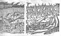 Picture 36 of 69 from Prodigiorum ac ostentorum chronicon, quae, praeter naturae ordinem, et in superioribus et his inferioribus mundi regionibus, ab exordio mundi usque ad haec nostra tempora acciderunt... conscriptum per Conradum Lycosthenem,... (1557), leaf 298