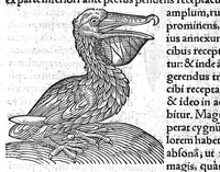 Picture 3 of 69 from Prodigiorum ac ostentorum chronicon, quae, praeter naturae ordinem, et in superioribus et his inferioribus mundi regionibus, ab exordio mundi usque ad haec nostra tempora acciderunt... conscriptum per Conradum Lycosthenem,... (1557), leaf 40