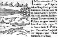Picture 49 of 69 from Prodigiorum ac ostentorum chronicon, quae, praeter naturae ordinem, et in superioribus et his inferioribus mundi regionibus, ab exordio mundi usque ad haec nostra tempora acciderunt... conscriptum per Conradum Lycosthenem,... (1557), leaf 446