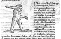 An illustration from Prodigiorum ac ostentorum chronicon, quae, praeter naturae ordinem, et in superioribus et his inferioribus mundi regionibus, ab exordio mundi usque ad haec nostra tempora acciderunt... conscriptum per Conradum Lycosthenem,... (1557)