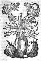 An illustration from Prodigiorum ac ostentorum chronicon, quae, praeter naturae ordinem, et in superioribus et his inferioribus mundi regionibus, ab exordio mundi usque ad haec nostra tempora acciderunt... conscriptum per Conradum Lycosthenem,... (1557)
