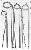 Picture 6 of 19 from Les Oeuvres d'Ambroise Paré,... divisées en vingt huict livres avec les figures et portraicts, tant de l'anatomie que des instruments de chirurgie, et de plusieurs monstres, reveuës et augmentées par l'autheur. Quatriesme Edition. (1585), leaf 326