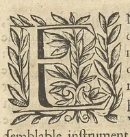 Picture 6 of 22 from La perspective curieuse ou magie artificielle des effets merveilleux de l'optique, la catoptique, la dioptique (1638), leaf 28