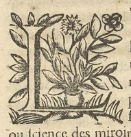 Picture 8 of 22 from La perspective curieuse ou magie artificielle des effets merveilleux de l'optique, la catoptique, la dioptique (1638), leaf 38