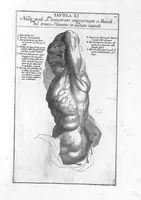 Picture 8 of 29 from Anatomia per uso et intelligenza del disegno ricercata non solo su gl'ossi, e muscoli del corpo humano : ma dimostrata ancora su le statue antiche più insigni di Roma : delineata in più tavole con tutte le figure in varie faccie, e vedute / per istudio della Regia Academia de Francia pittura e scultura sollo la direzzione di Carlo Errard gia direttore di essa in Roma ; preparata su'i cadaveri dal dottor Bernardino Genga ... ; con le spiegazioni et indice del sigr. canonico Gio. Maria Lancisi ... (1691), leaf 20