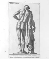 Picture 28 of 29 from Anatomia per uso et intelligenza del disegno ricercata non solo su gl'ossi, e muscoli del corpo humano : ma dimostrata ancora su le statue antiche più insigni di Roma : delineata in più tavole con tutte le figure in varie faccie, e vedute / per istudio della Regia Academia de Francia pittura e scultura sollo la direzzione di Carlo Errard gia direttore di essa in Roma ; preparata su'i cadaveri dal dottor Bernardino Genga ... ; con le spiegazioni et indice del sigr. canonico Gio. Maria Lancisi ... (1691), leaf 53