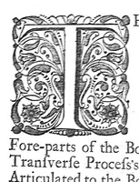 Picture 56 of 64 from The anatomy of human bodies,... containing many new anatomical discoveries and chirurgical observations (1698), leaf 206