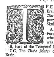 Picture 5 of 64 from The anatomy of human bodies,... containing many new anatomical discoveries and chirurgical observations (1698), leaf 30