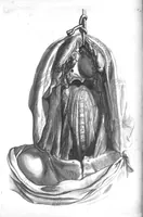 Picture 10 of 64 from The anatomy of human bodies,... containing many new anatomical discoveries and chirurgical observations (1698), leaf 53