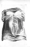An illustration from The anatomy of human bodies,... containing many new anatomical discoveries and chirurgical observations (1698)