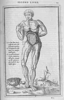 Picture 3 of 14 from La dissection des parties du corps humain divisee en trois livres, faictz par Charles Estienne, docteur en Medecine : avec les figures et declaration des incisions, composees par Estienne de la Riviere Chirurgien, (1546), leaf 194