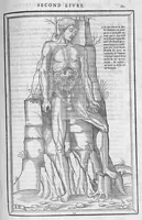 Picture 4 of 14 from La dissection des parties du corps humain divisee en trois livres, faictz par Charles Estienne, docteur en Medecine : avec les figures et declaration des incisions, composees par Estienne de la Riviere Chirurgien, (1546), leaf 200