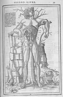 Picture 5 of 14 from La dissection des parties du corps humain divisee en trois livres, faictz par Charles Estienne, docteur en Medecine : avec les figures et declaration des incisions, composees par Estienne de la Riviere Chirurgien, (1546), leaf 206