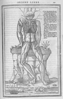Picture 6 of 14 from La dissection des parties du corps humain divisee en trois livres, faictz par Charles Estienne, docteur en Medecine : avec les figures et declaration des incisions, composees par Estienne de la Riviere Chirurgien, (1546), leaf 234