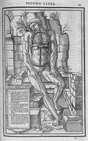 An illustration from La dissection des parties du corps humain divisee en trois livres, faictz par Charles Estienne, docteur en Medecine : avec les figures et declaration des incisions, composees par Estienne de la Riviere Chirurgien, (1546)