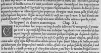 An illustration from La dissection des parties du corps humain divisee en trois livres, faictz par Charles Estienne, docteur en Medecine : avec les figures et declaration des incisions, composees par Estienne de la Riviere Chirurgien, (1546)
