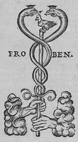 An illustration from Galeni Pergameni ... opera quae ad nos extant omnia / vol. 5- quintus tomus classes duas quintam et sextam complectens (1549)