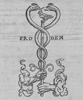 An illustration from Galeni Pergameni ... opera quae ad nos extant omnia / vol. 6- tomus sextus classem septimam habet (1549)