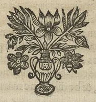 An illustration from Traité de l'eau de vie ou anatomie théorique et pratique du vin (1646)