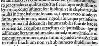 An illustration from De sensu rerum et magia libri quatuor (1620)