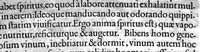 An illustration from De sensu rerum et magia libri quatuor (1620)