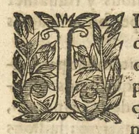 An illustration from Traitté des eaux minerales du Vivarez (1657)
