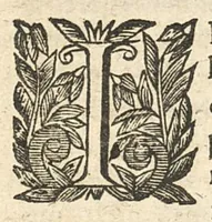 An illustration from Traitté des eaux minerales du Vivarez (1657)
