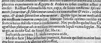 An illustration from Scriboni Largi Compositiones Medicae. Johannes Rhodius recensuit, Notis illustravit, Lexicon scribonianum adjecit. (1655)