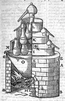 An illustration from Le grand dispensaire ou thresor general et particulier des preservatifs ramasse et brisé par Ian Jacques Wecker... le tout par Ian Du Val D.M. d'Yssouldun (1609)