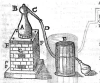 An illustration from Le grand dispensaire ou thresor general et particulier des preservatifs ramasse et brisé par Ian Jacques Wecker... le tout par Ian Du Val D.M. d'Yssouldun (1609)