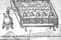 An illustration from Le grand dispensaire ou thresor general et particulier des preservatifs ramasse et brisé par Ian Jacques Wecker... le tout par Ian Du Val D.M. d'Yssouldun (1609)