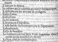 An illustration from Le grand dispensaire ou thresor general et particulier des preservatifs ramasse et brisé par Ian Jacques Wecker... le tout par Ian Du Val D.M. d'Yssouldun (1609)