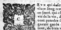 An illustration from Le grand dispensaire ou thresor general et particulier des preservatifs ramasse et brisé par Ian Jacques Wecker... le tout par Ian Du Val D.M. d'Yssouldun (1609)
