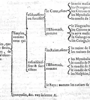 An illustration from Le grand dispensaire ou thresor general et particulier des preservatifs ramasse et brisé par Ian Jacques Wecker... le tout par Ian Du Val D.M. d'Yssouldun (1609)