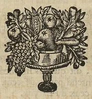 An illustration from L'Oeconomie chirurgicale, pour le r'habillement des os du corps humain contenant l'ostéologie, la nososreologie, l'apocatastosteologie, & le Traitté des bandages (1671)